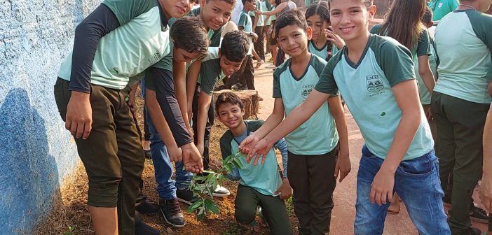 Alunos da Escola Almir Gabriel plantam mudas em comemoração ao dia da Árvore